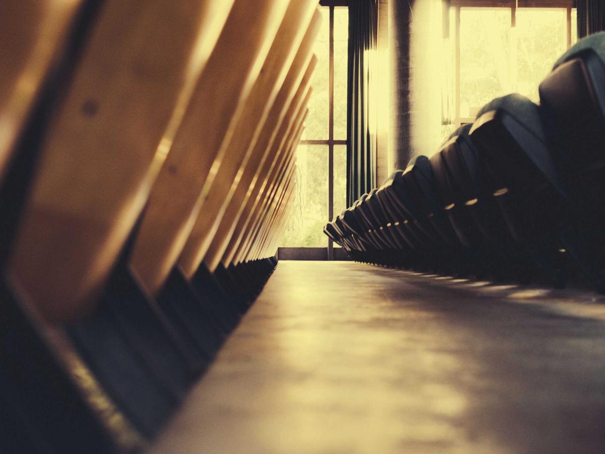 WordPress Security Basics: What Actually Protects Your Site
